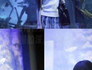 51c朝阳群众吃瓜网站发布独家资源，娱乐圈的深层内幕一网打尽！