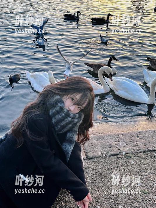 51cg吃瓜视频合集，带你深入了解那些不为人知的娱乐内幕！