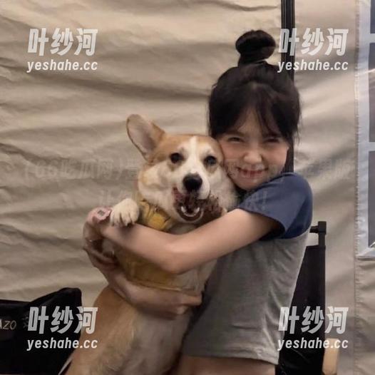 登录66吃瓜网app，苹果版让你吃瓜更轻松愉快！