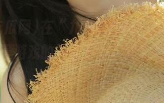 在“九一吃瓜网”APP中，发现动漫游戏的那些不为人知的吃瓜秘密！
