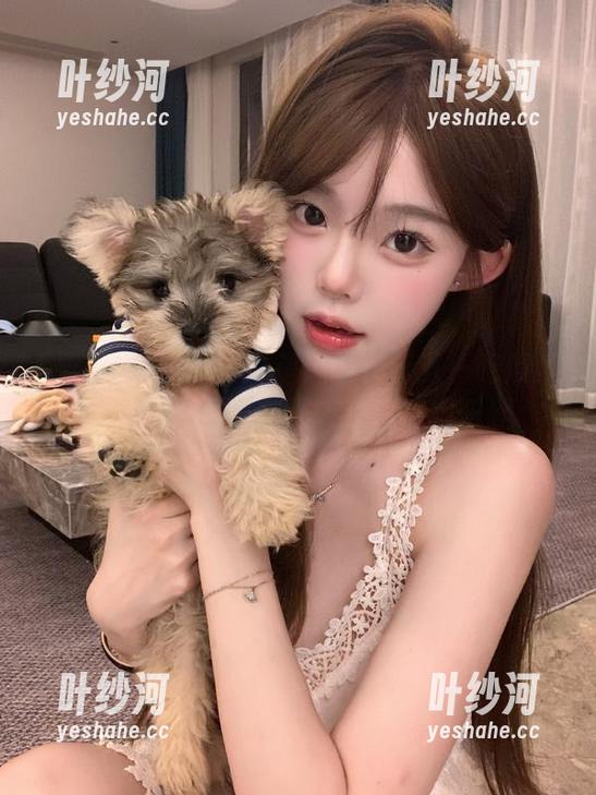 五一吃瓜网 不可错过的最新五一吃瓜网站官网入口,与朋友分享吃瓜乐趣