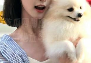 吃瓜网朝阳美味全攻略，包含详细地址与最优线路