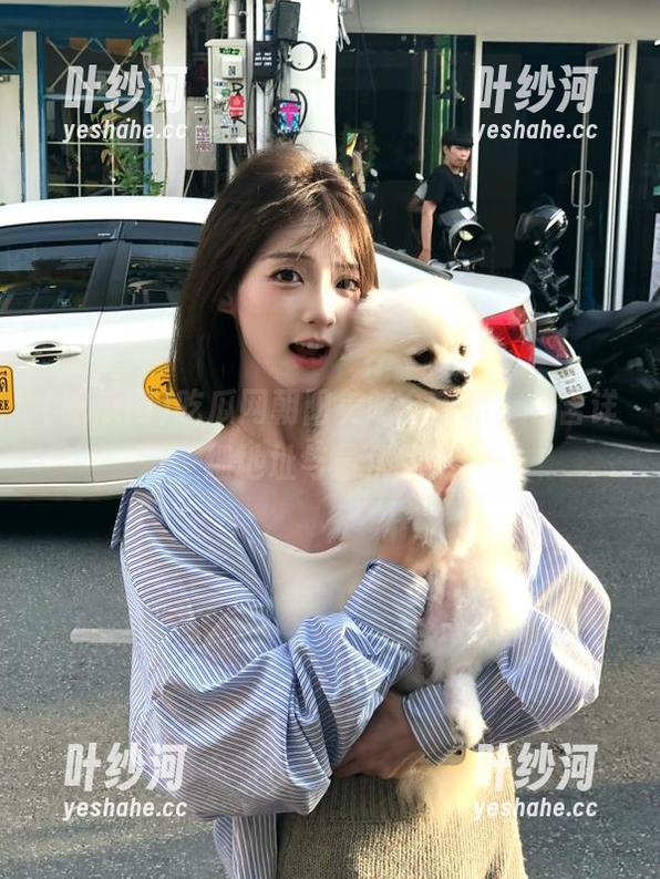吃瓜网朝阳美味全攻略，包含详细地址与最优线路