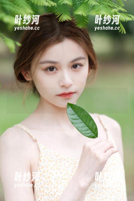 如何打造高质量吃瓜网站网页，吃瓜新时代来了