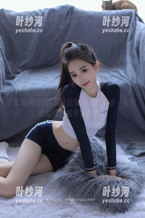 吃瓜网站安全问题解析：如何通过网址和导航判断？
