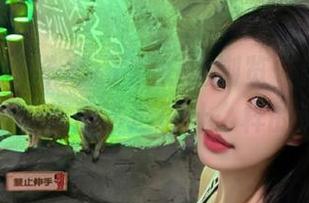 为了更好地浏览“黑料不打烊”网站，你应该选择什么样的浏览器？