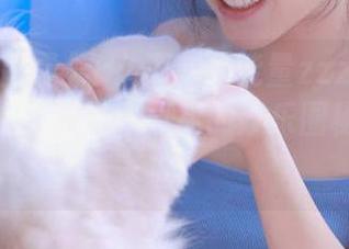 永久黑料正能量zzzttt传送门，带你导航至最真实的娱乐圈秘闻与报道！